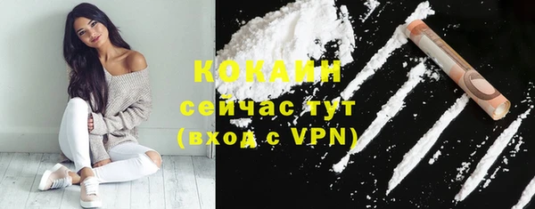 сатива Белоозёрский