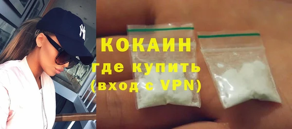 мдпв Богородицк