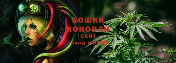 сатива Белоозёрский