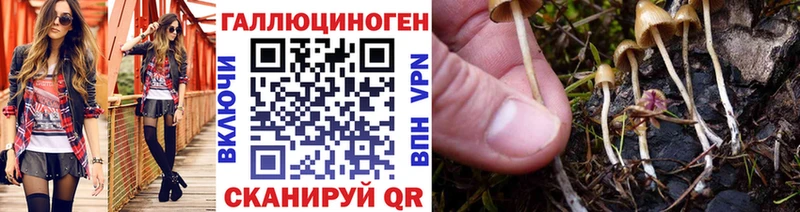 mega   Высоцк  Галлюциногенные грибы Magic Shrooms 