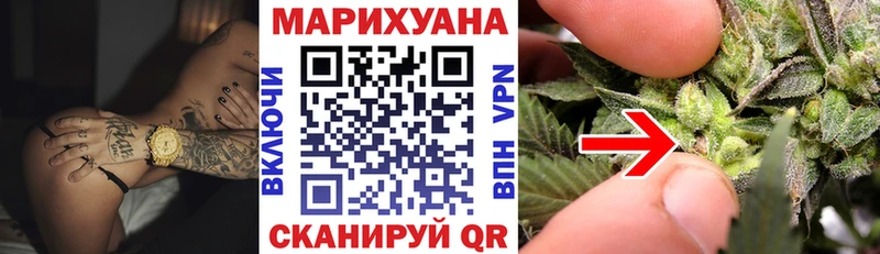 Канабис план  Высоцк 